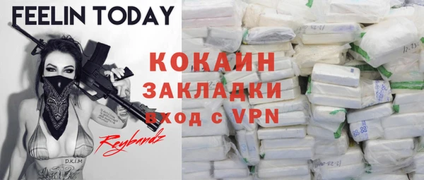 мдпв Верея