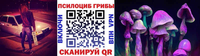 Галлюциногенные грибы ЛСД  Гаджиево 